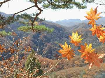 多地異常增水海水倒灌 應(yīng)急響應(yīng)啟動,靈活性執(zhí)行計劃_特供版23.84.29