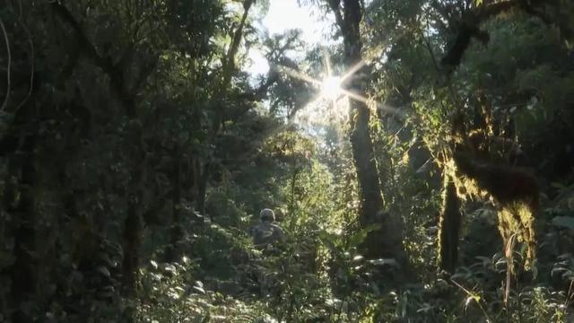 部隊穿越哀牢山現(xiàn)場實拍，一線部隊行進畫面曝光