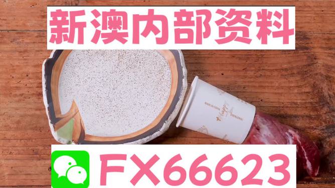 香港新澳精準(zhǔn)資料免費(fèi)提供，動(dòng)態(tài)詞語解釋落實(shí)_The87.78.77