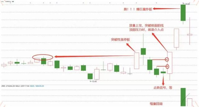 2024年10月 第350頁