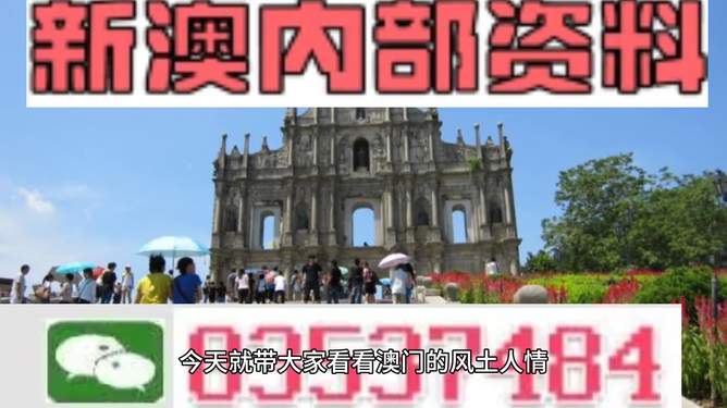 新澳資料大全正版資料2024年免費(fèi)下載，準(zhǔn)確資料解釋落實(shí)_WP88.61.16