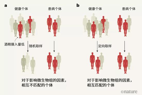 探索人體奧秘的新領(lǐng)域，最新窩窩人體研究揭秘人體奧秘