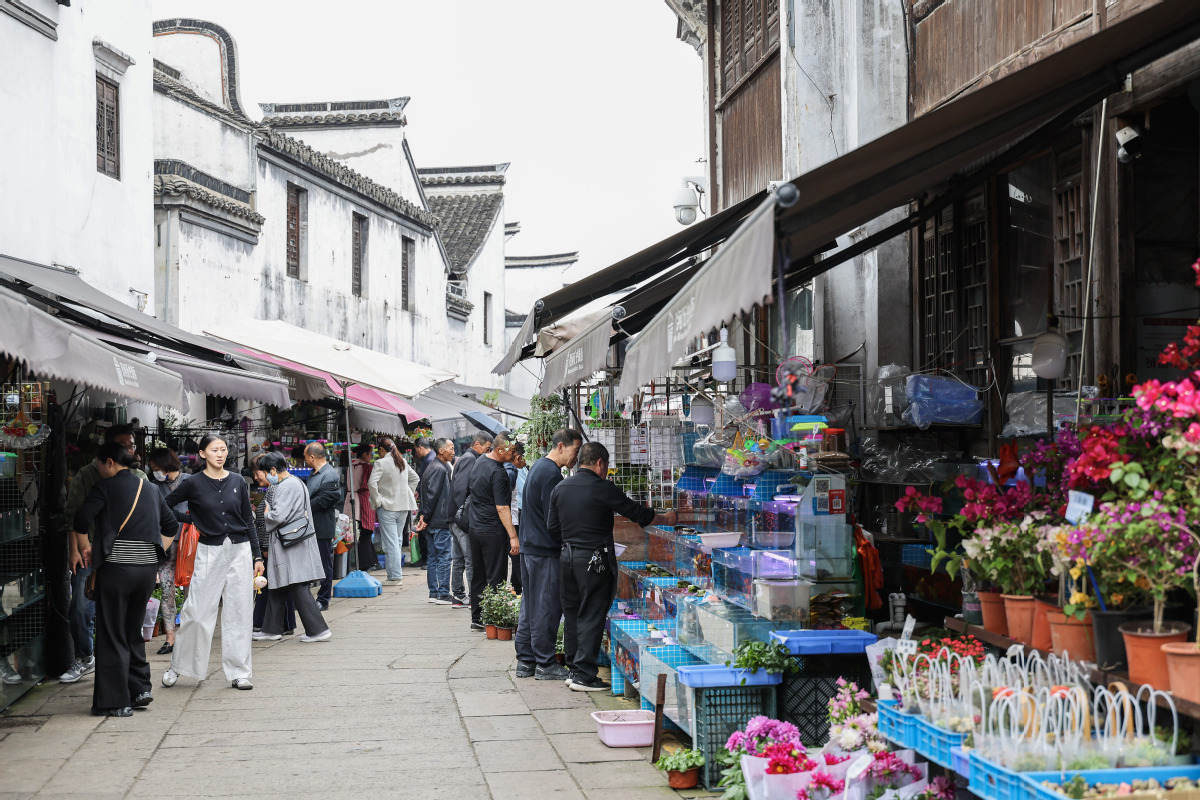 歷史街區(qū)改造與居民安置