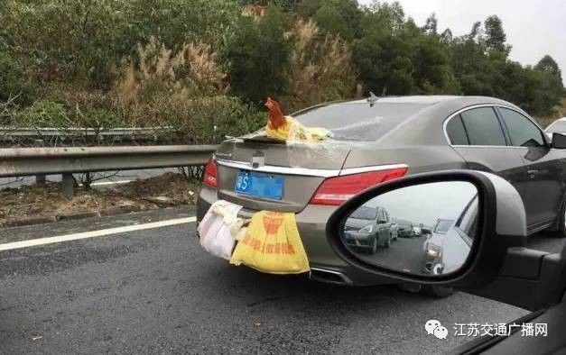 車主高速遇陪跑伙伴，雙閃告別顯真情