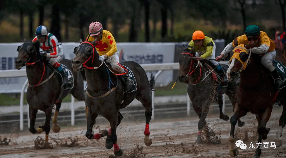 馬會(huì)香港7777788888,馬會(huì)香港7777帶您暢游賽馬樂(lè)趣_標(biāo)準(zhǔn)版7.3