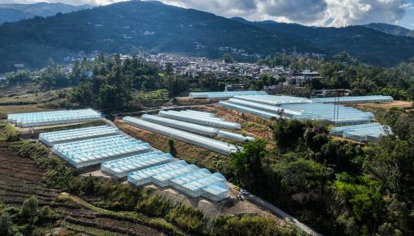 鳳慶縣概覽，最新消息與概述