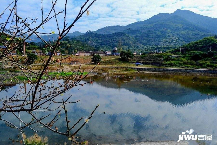 武夷名仕園最新房價動態(tài)解析與預(yù)測（截至XXXX年XX月XX日）