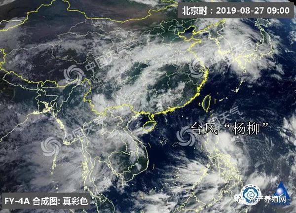 最新臺風動態(tài)及影響深度分析，30日臺風消息綜述與反思