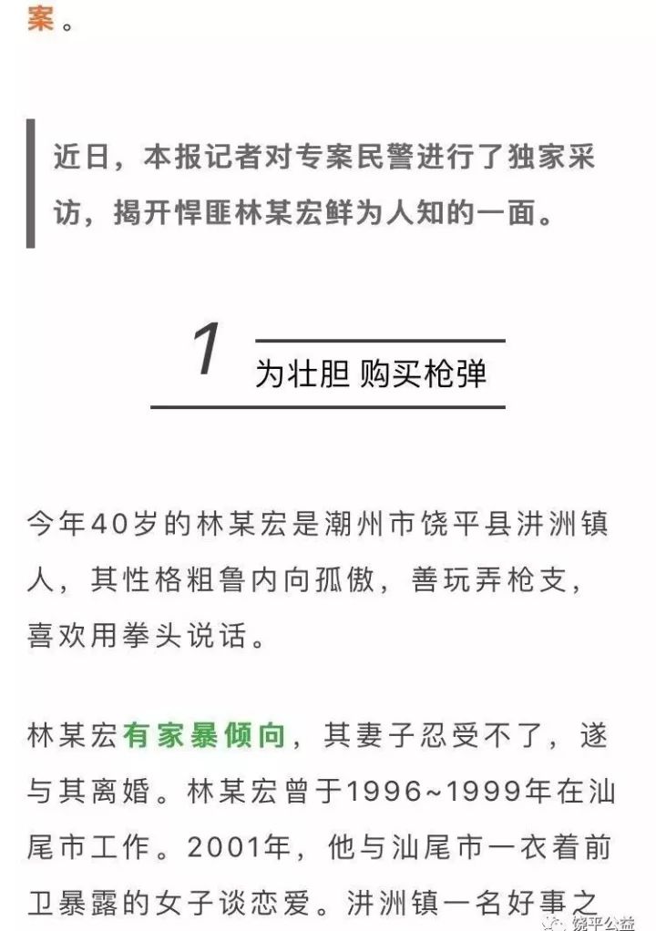 饒平槍擊案最新進展解析，案件全貌揭秘與應(yīng)對方式探討（最新情況更新）