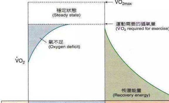 健康奧秘規(guī)律