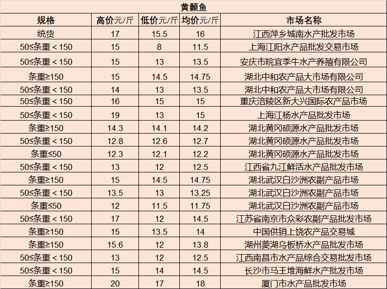 連云港人才市場最新招聘奇遇日，友情新篇章的溫暖邂逅