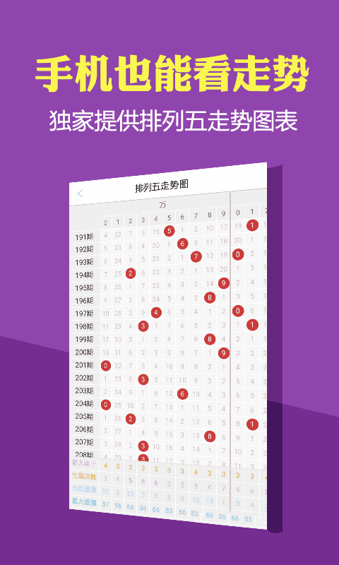 管家婆一碼一肖資料大全四柱預測,結構解答解釋落實_尊貴版11.466