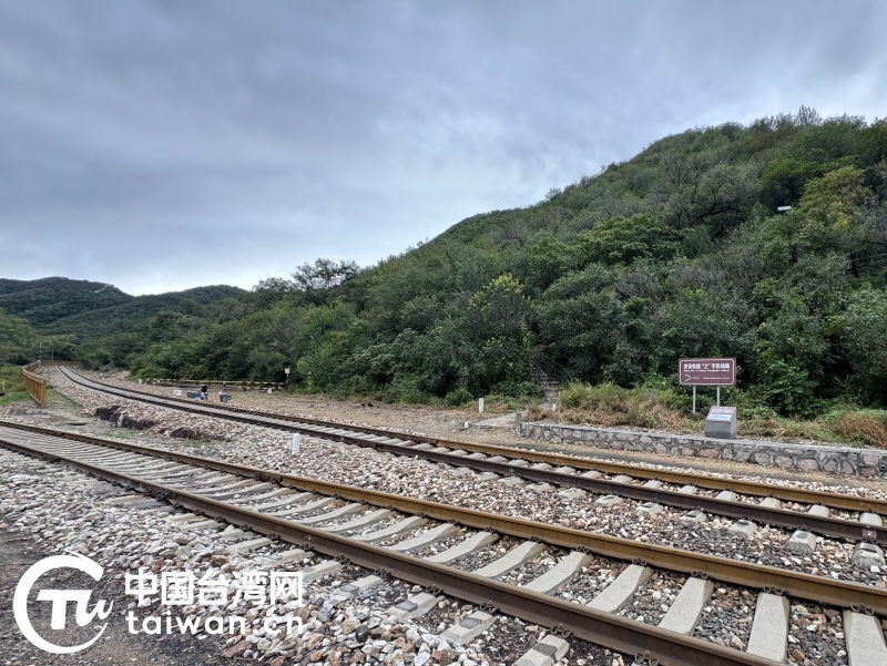 仙居鐵路最新動(dòng)態(tài)，探尋美食秘境，感受隱秘小巷新脈動(dòng)