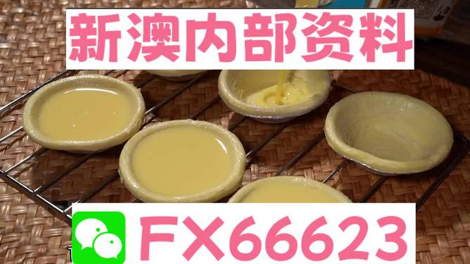 新澳精準(zhǔn)資料免費提供,動態(tài)詞語解析_中級版CEN672.22