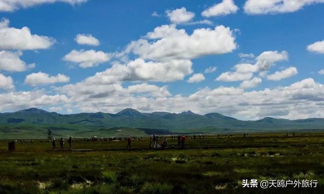 去年羅平通用機場的藍天之旅，自然美景與心靈的奇妙交匯點