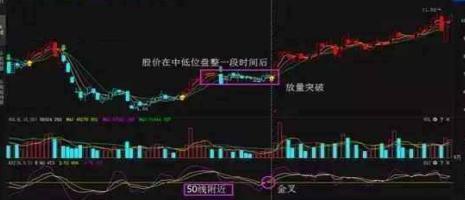 新奧門特免費資料大全火鳳凰,實際指標(biāo)_CHU473.35金丹