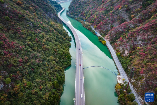 桃江新篇章，探尋最新規(guī)劃公路與小巷深處的美食秘境之旅