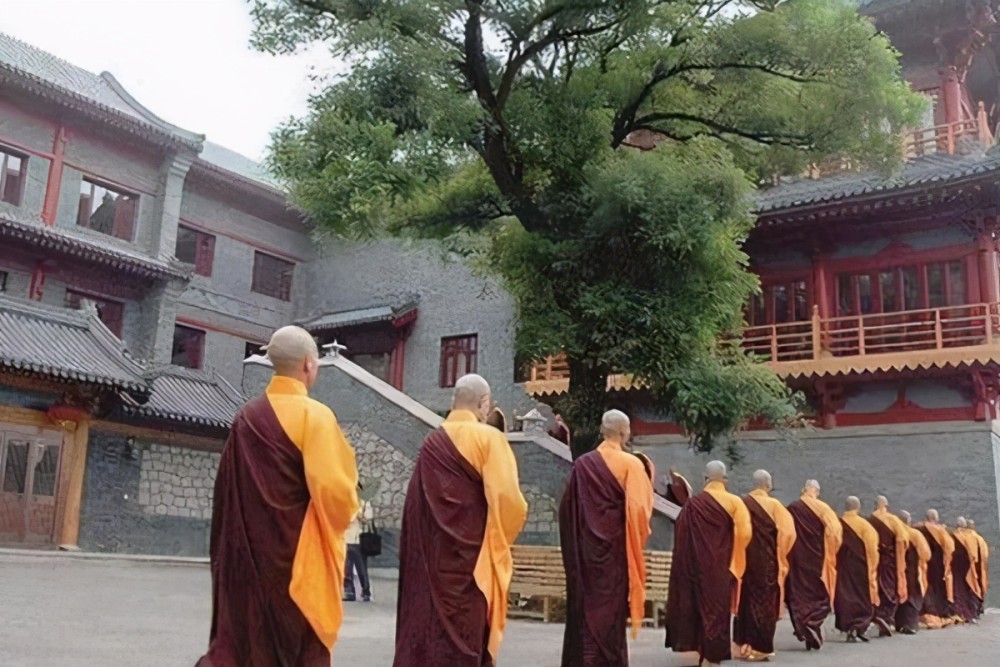 執(zhí)念師3最新消息揭秘，神秘特色小店探秘之旅