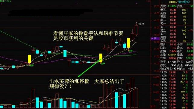 管家婆精準一碼一肖預測，智能版高效規(guī)劃_FQD61.338升級版