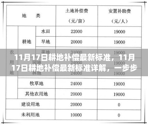 11月17日耕地補償最新標準詳解，申請與獲得補償?shù)牟襟E指南