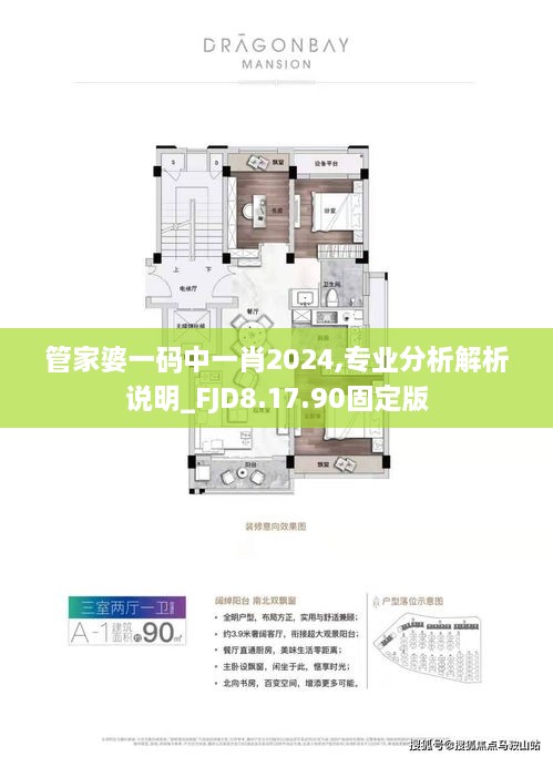 管家婆一碼中一肖2024,專業(yè)分析解析說(shuō)明_FJD8.17.90固定版