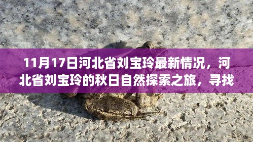 河北省劉寶玲秋日自然探索之旅，尋找內(nèi)心的寧靜與喜悅最新進(jìn)展（11月17日）