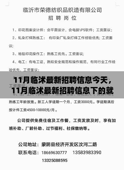 11月臨沭最新招聘信息匯總，就業(yè)市場觀察與個人選擇