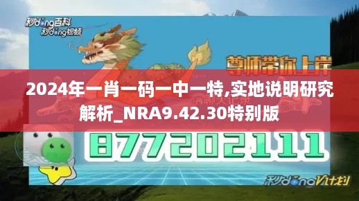 2024年一肖一碼一中一特,實(shí)地說(shuō)明研究解析_NRA9.42.30特別版