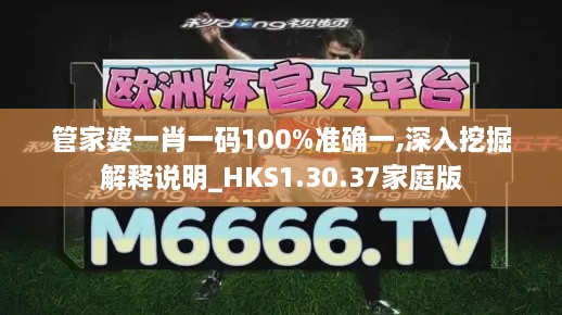 管家婆一肖一碼100%準(zhǔn)確一,深入挖掘解釋說明_HKS1.30.37家庭版