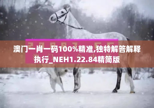 澳門一肖一碼100%精準,獨特解答解釋執(zhí)行_NEH1.22.84精簡版