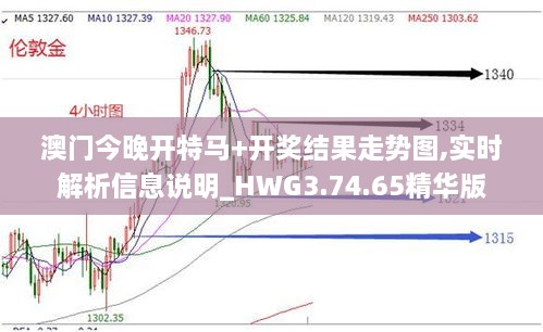 澳門今晚開特馬+開獎結果走勢圖,實時解析信息說明_HWG3.74.65精華版