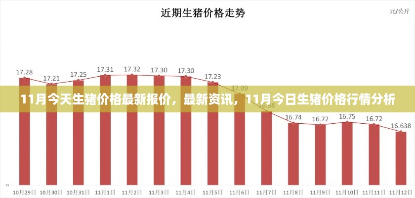 最新資訊，11月今日生豬價(jià)格行情分析與報(bào)價(jià)