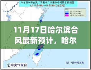 哈爾濱臺風小插曲，溫馨日常與最新預(yù)計報告