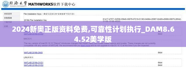 2024新奧正版資料免費(fèi),可靠性計(jì)劃執(zhí)行_DAM8.64.52美學(xué)版