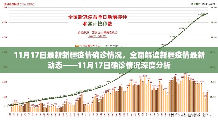 新疆疫情最新動(dòng)態(tài)深度解讀，11月17日確診情況分析