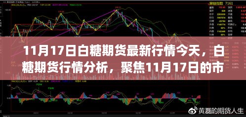 白糖期貨行情分析，聚焦市場(chǎng)動(dòng)態(tài)與未來展望（最新行情報(bào)道，日期，11月17日）