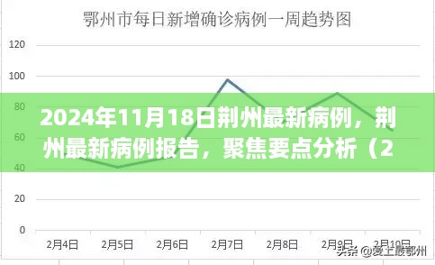 荊州最新病例報(bào)告及分析（2024年11月18日更新）