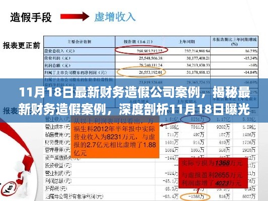 揭秘最新財務(wù)造假案例，深度剖析企業(yè)財務(wù)欺詐行為曝光紀(jì)實（11月18日最新）