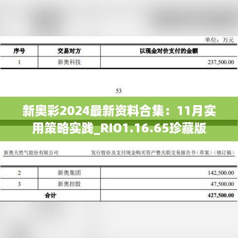 新奧彩2024最新資料合集：11月實用策略實踐_RIO1.16.65珍藏版