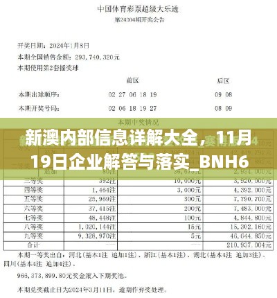 新澳內(nèi)部信息詳解大全，11月19日企業(yè)解答與落實(shí)_BNH6.37.71零障礙版