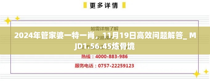 2024年管家婆一特一肖，11月19日高效問題解答_ MJD1.56.45煉骨境