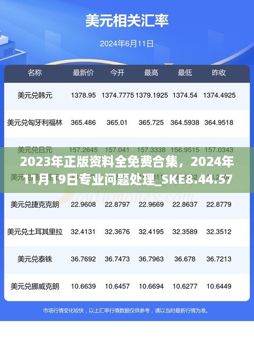 2023年正版資料全免費(fèi)合集，2024年11月19日專業(yè)問(wèn)題處理_SKE8.44.57定制版