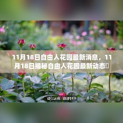 揭秘自由人花園最新動態(tài)，最新消息一覽（11月18日）