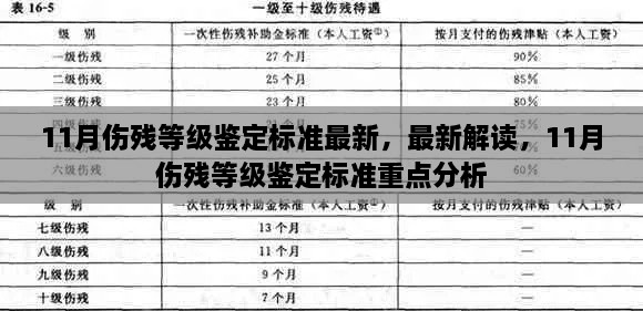 最新解讀與重點(diǎn)分析，11月傷殘等級(jí)鑒定標(biāo)準(zhǔn)詳解