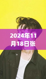 2024年11月18日張藝興壁紙最新圖片，張藝興壁紙新風(fēng)尚，2024年11月18日圖片背后的流行文化探討