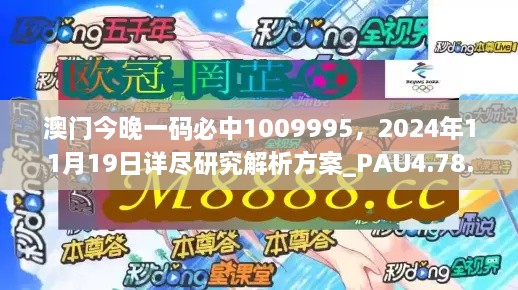 澳門今晚一碼必中1009995，2024年11月19日詳盡研究解析方案_PAU4.78.58文化傳承版