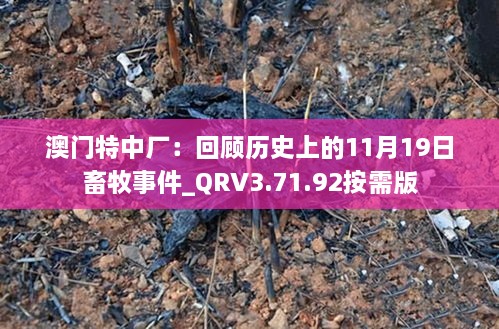 澳門特中廠：回顧歷史上的11月19日畜牧事件_QRV3.71.92按需版