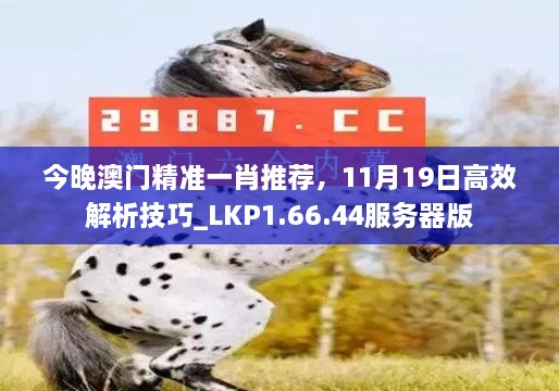 今晚澳門精準(zhǔn)一肖推薦，11月19日高效解析技巧_LKP1.66.44服務(wù)器版