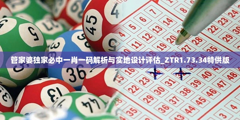 管家婆獨家必中一肖一碼解析與實地設(shè)計評估_ZTR1.73.34特供版