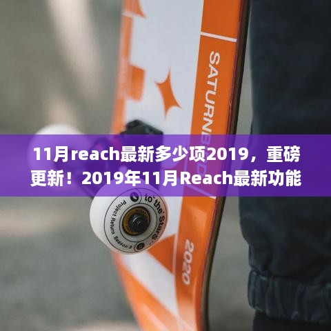 重磅更新！2019年11月Reach最新功能匯總及更新數(shù)量揭曉